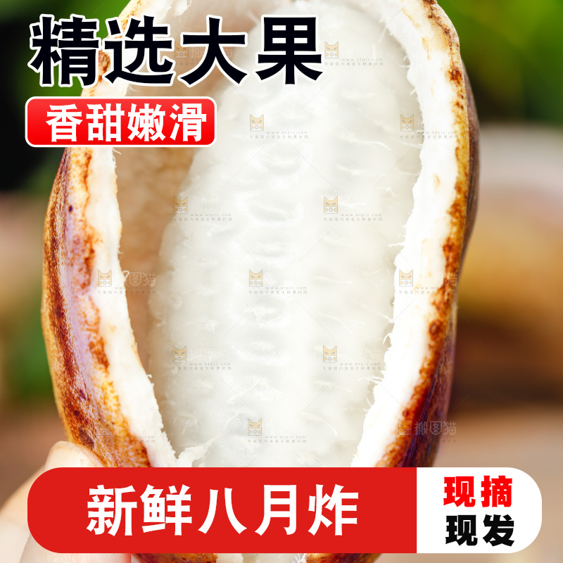 手里拿着八月瓜