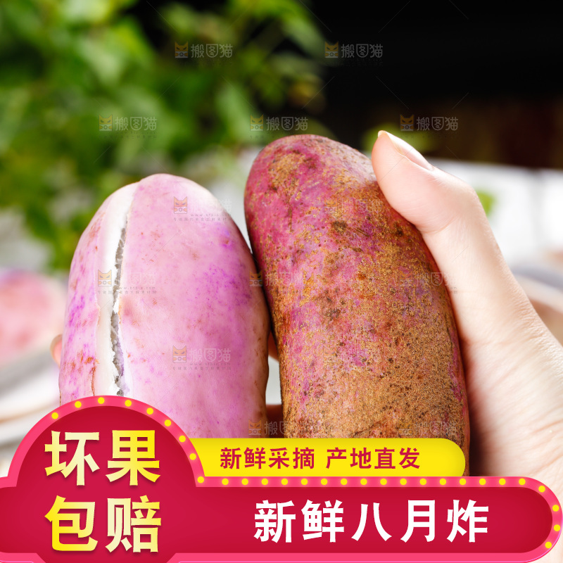 手里拿着八月瓜