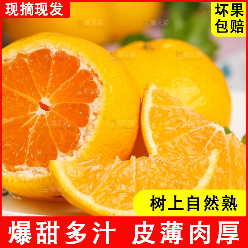 碟子里装着椪柑橘
