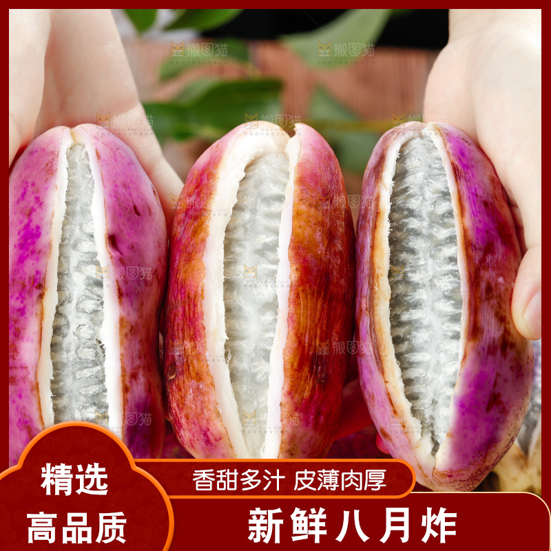 手里拿着八月瓜