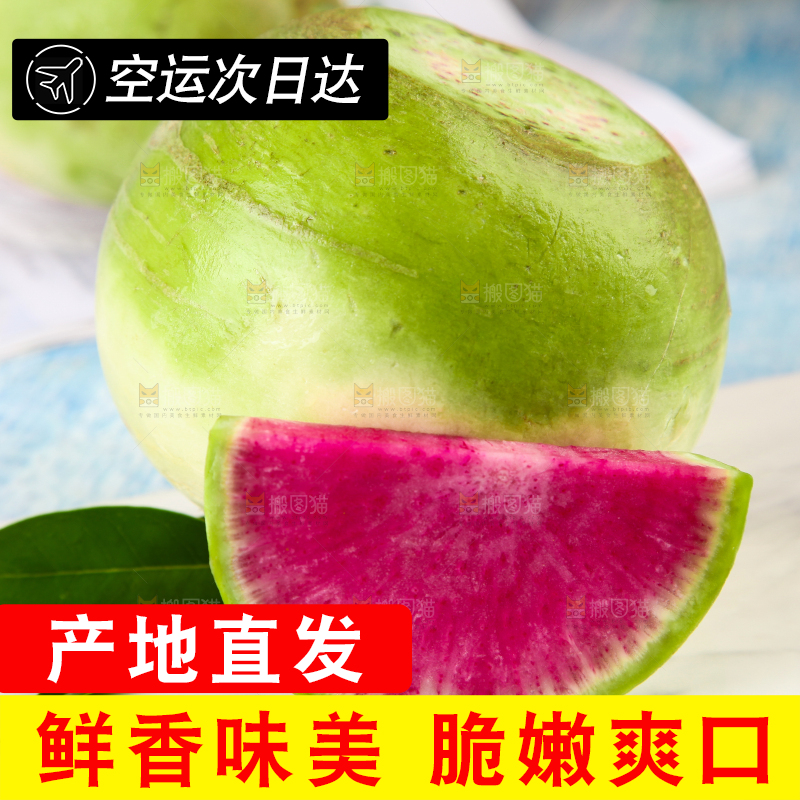 浅底上摆放着心里美萝卜