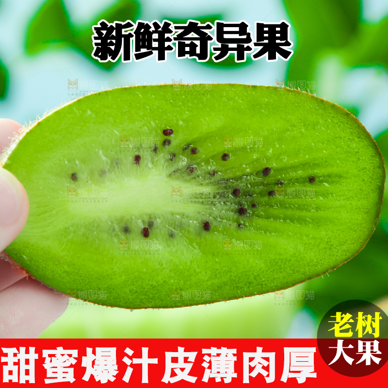 手里拿着猕猴桃