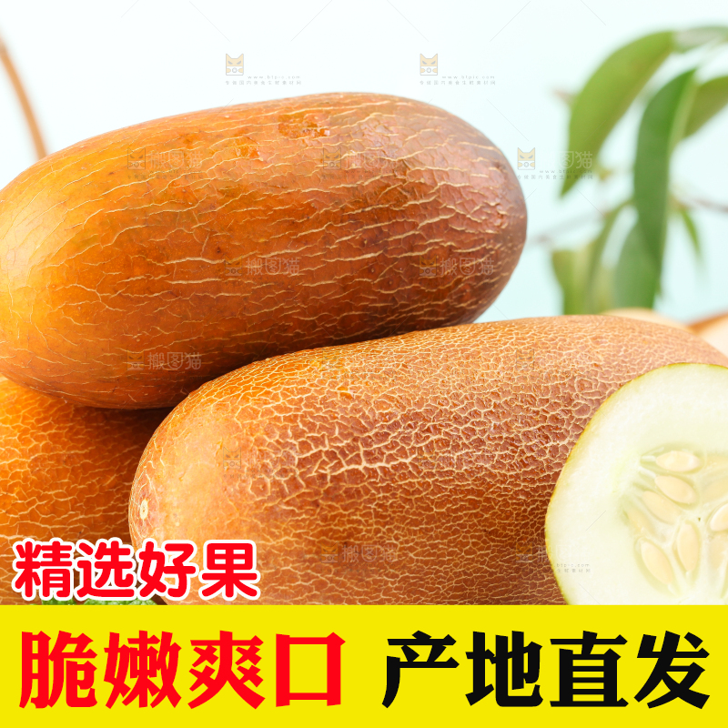 浅底上放着老黄瓜