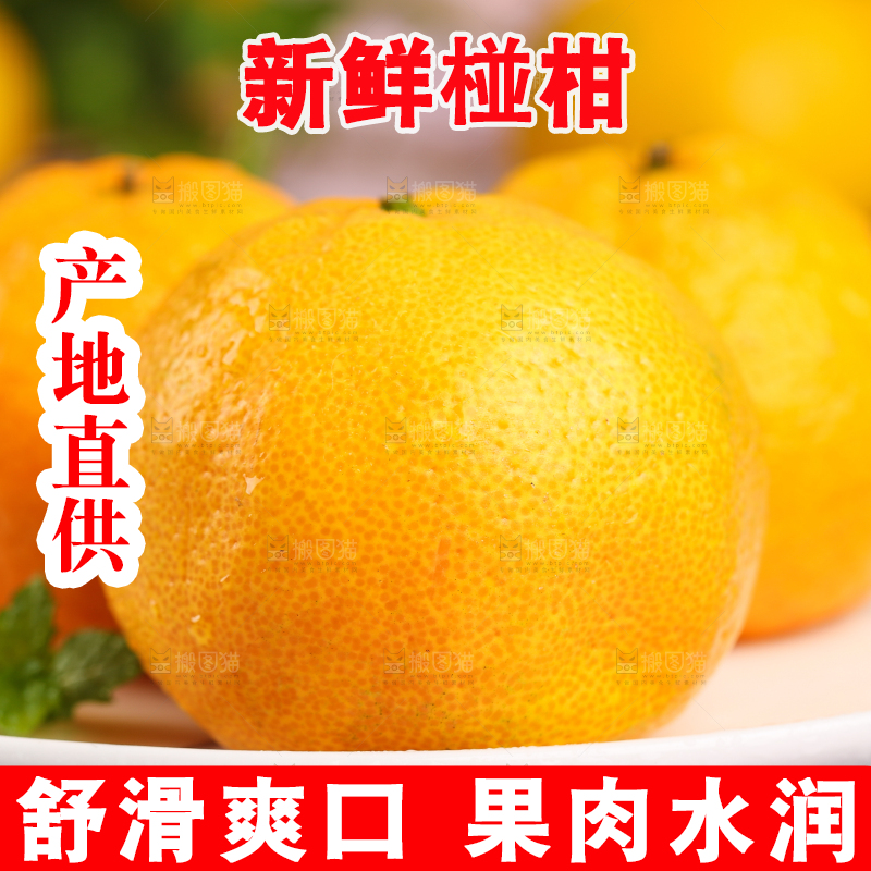 盘子里摆放着椪柑橘