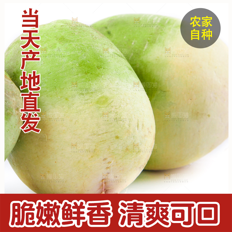白底上的心里美萝卜