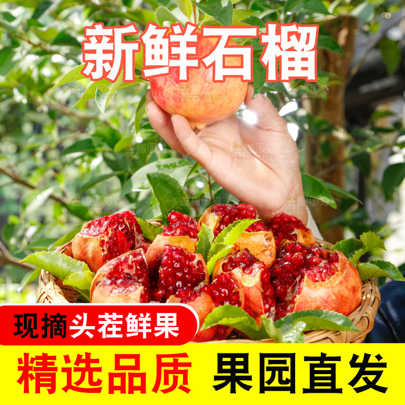 手里端着红石榴
