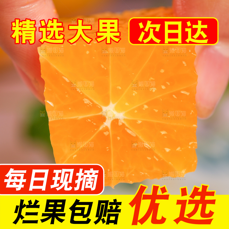 手里拿着芦柑