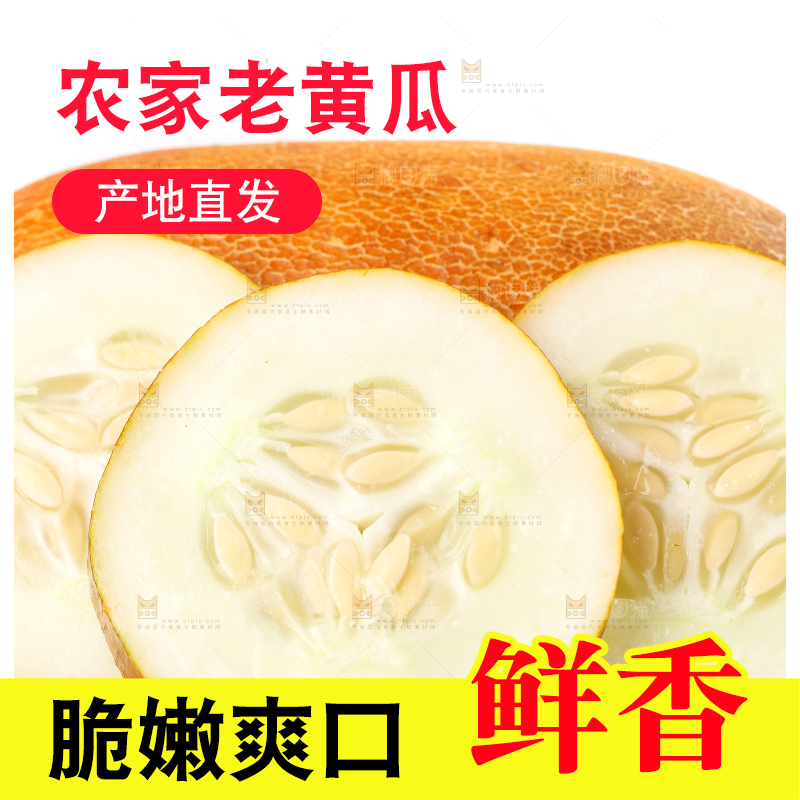 白底上摆放着老黄瓜