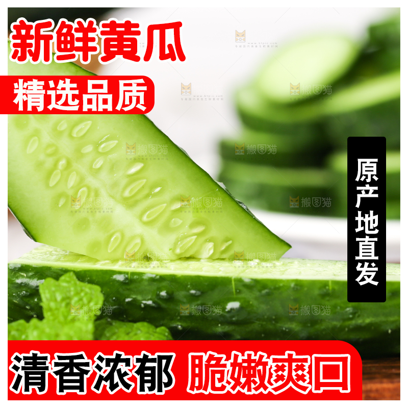木底上堆放着新鲜黄瓜