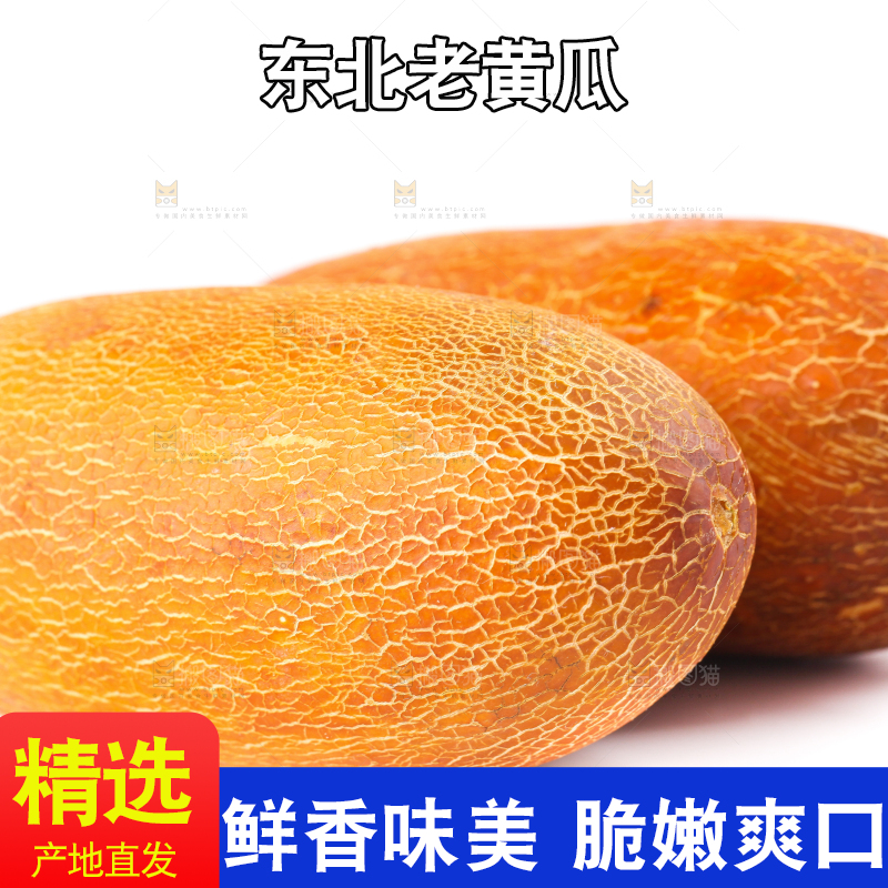 白底上摆放着老黄瓜