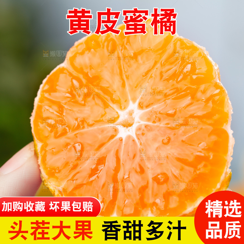 木底上摆放着蜜橘