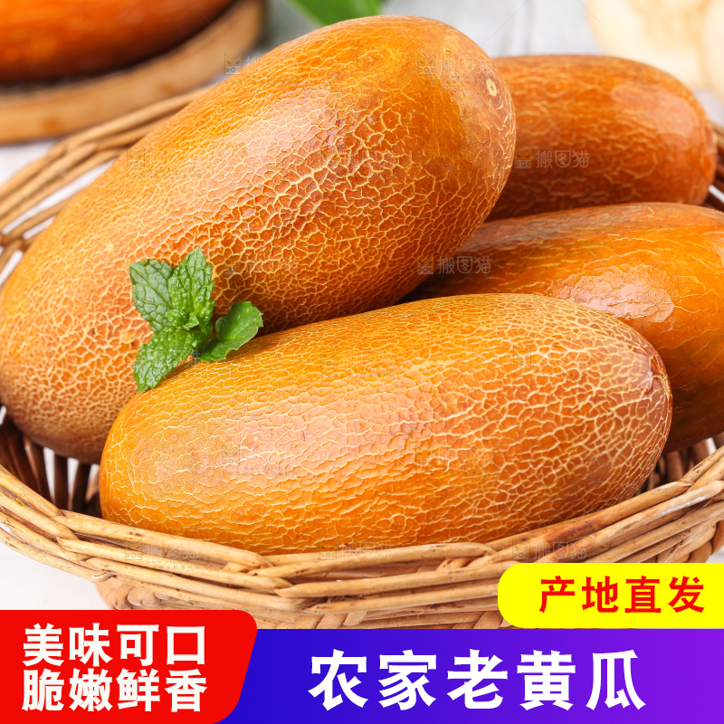 篮子里装着黄皮黄瓜