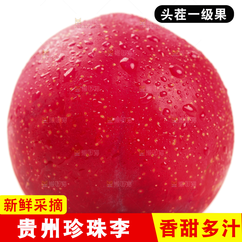 白底上的红李子
