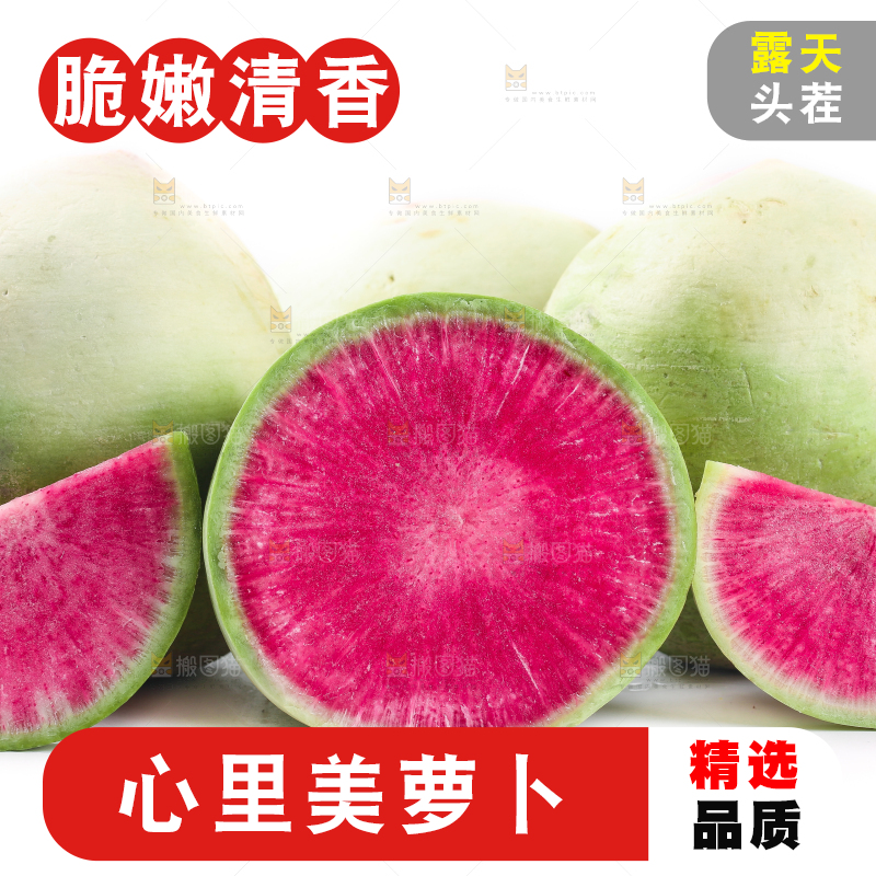 白底上摆放着心里美萝卜