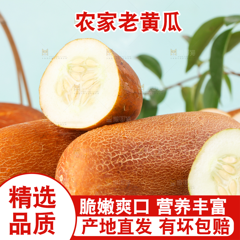 浅底上放着老黄瓜