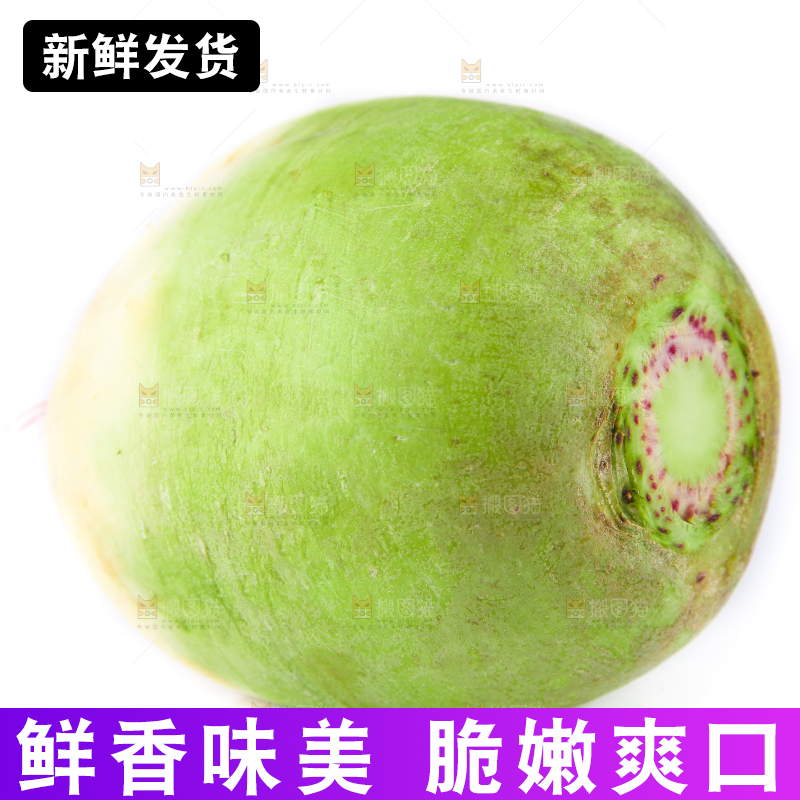 白底上的心里美萝卜