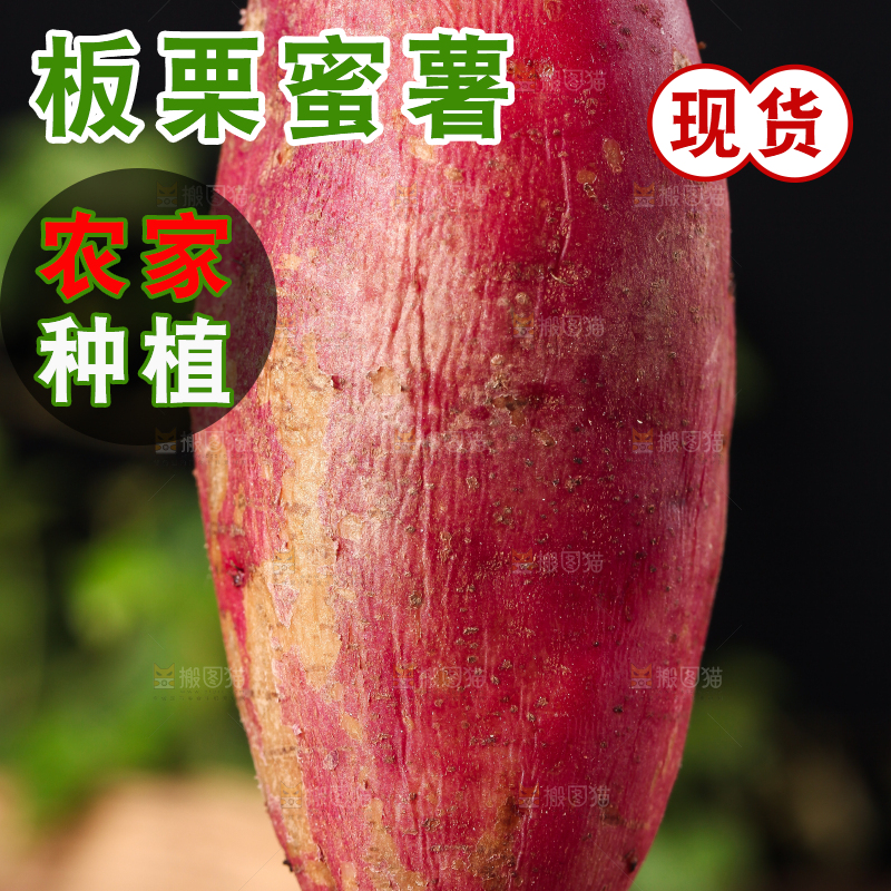 手里拿着栗蜜薯