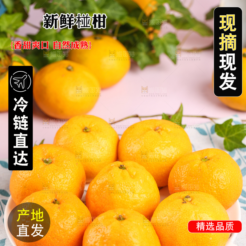 盘子里摆放着椪柑橘