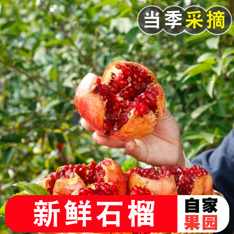 篮子里装着石榴