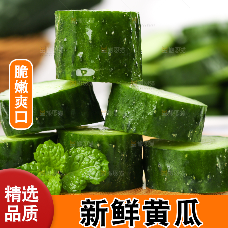 木底上堆放着新鲜黄瓜