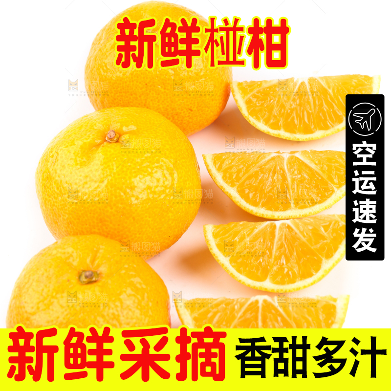 白底上摆放着椪柑橘