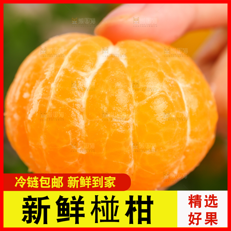 手里拿着芦柑