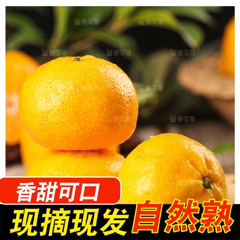 木底上摆放着椪柑