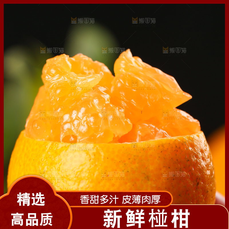 手里拿着芦柑