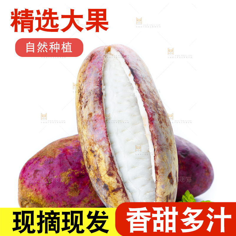 白底上摆放着八月果