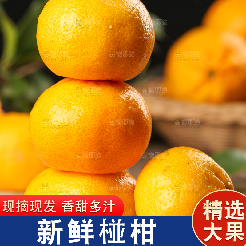 木底上摆放着椪柑