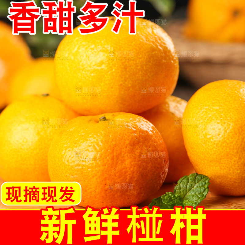 木底上摆放着椪柑
