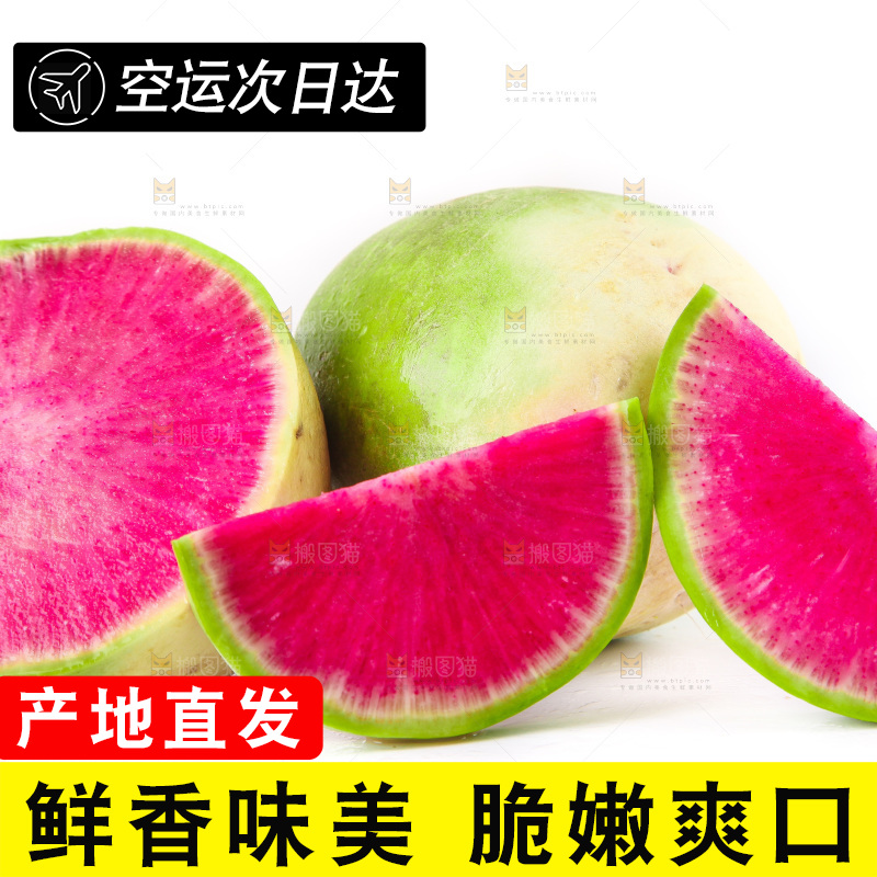 白底上的心里美萝卜