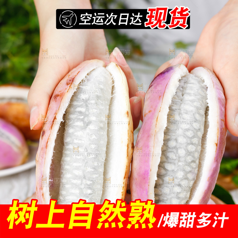 手里拿着八月瓜