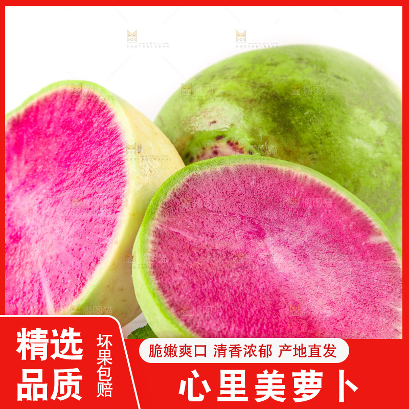白底上的心里美萝卜
