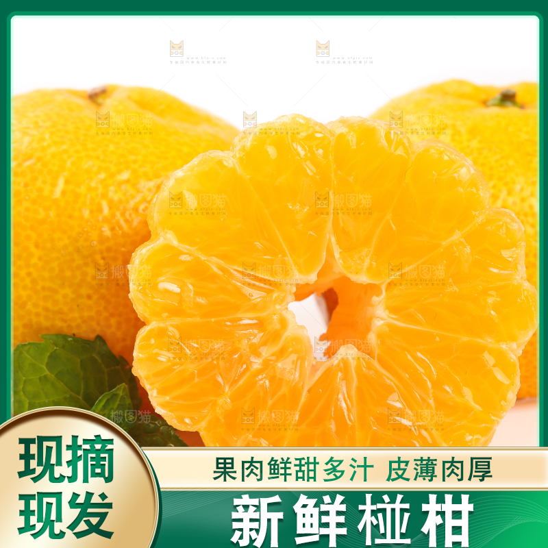 白底上摆放着椪柑橘