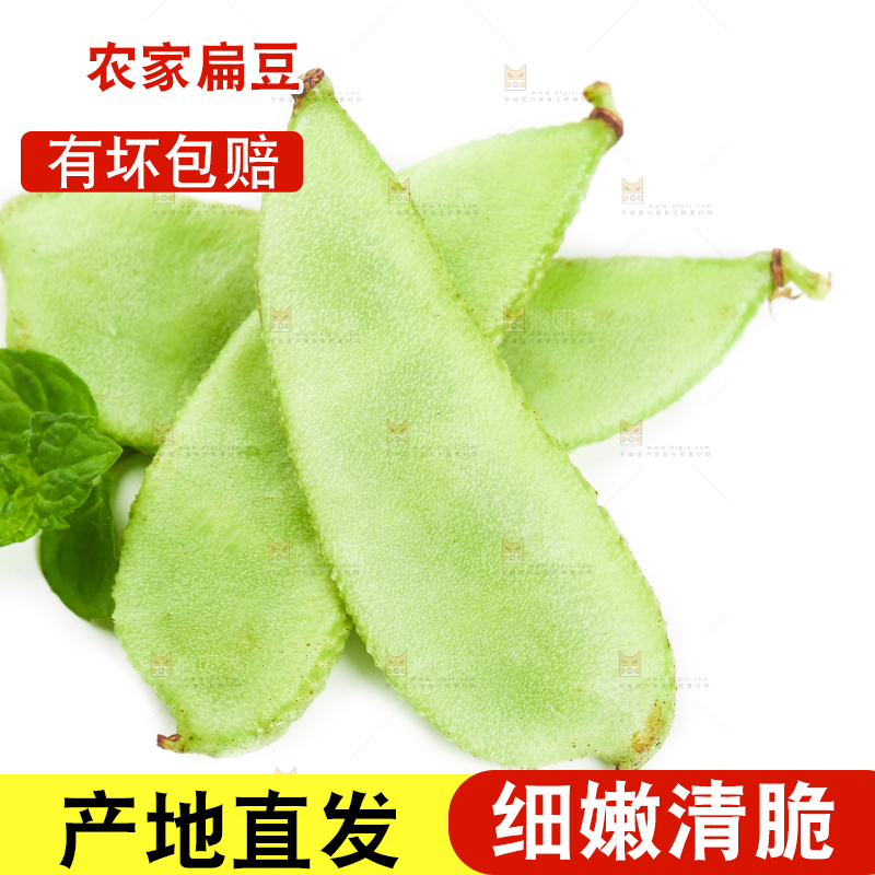 白底上放着扁豆