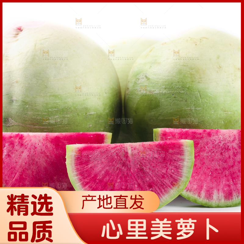 白底上摆放着心里美萝卜