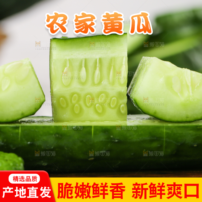 木底上堆放着新鲜黄瓜