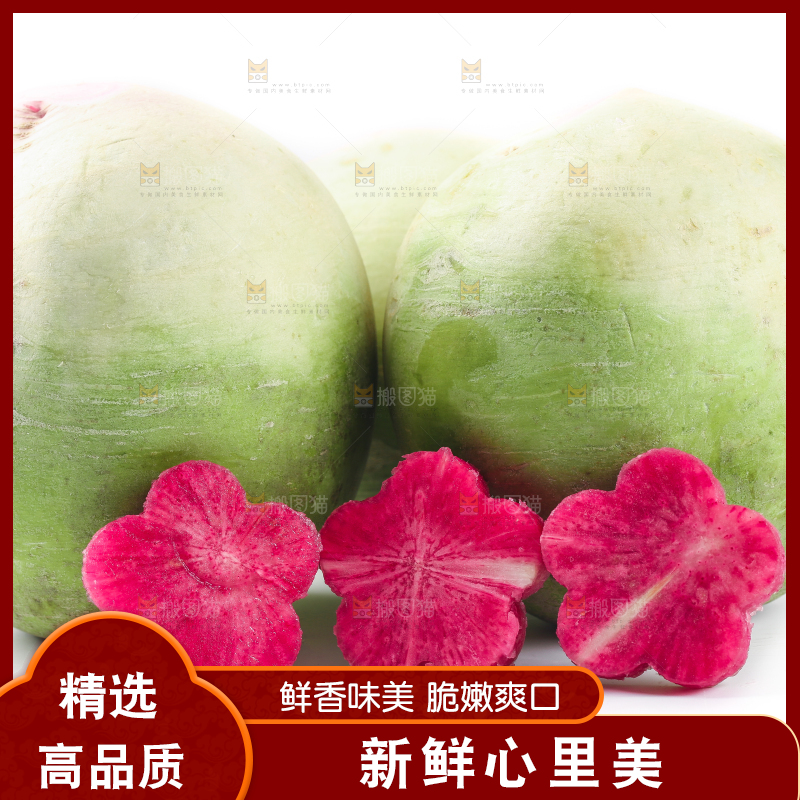白底上摆放着心里美萝卜