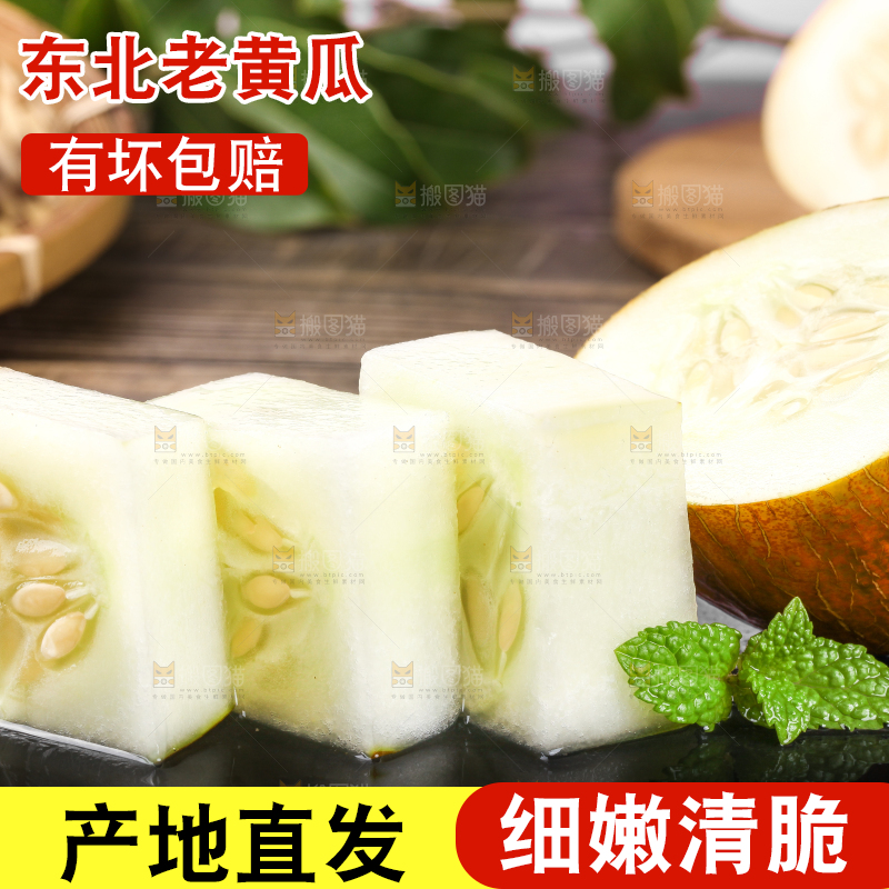 深底上摆放着老黄瓜
