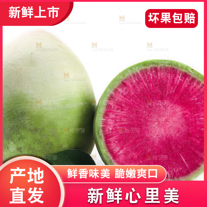 白底上摆放着心里美萝卜