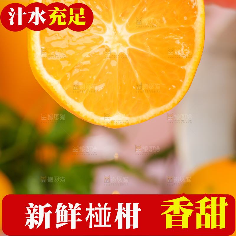 手里拿着芦柑