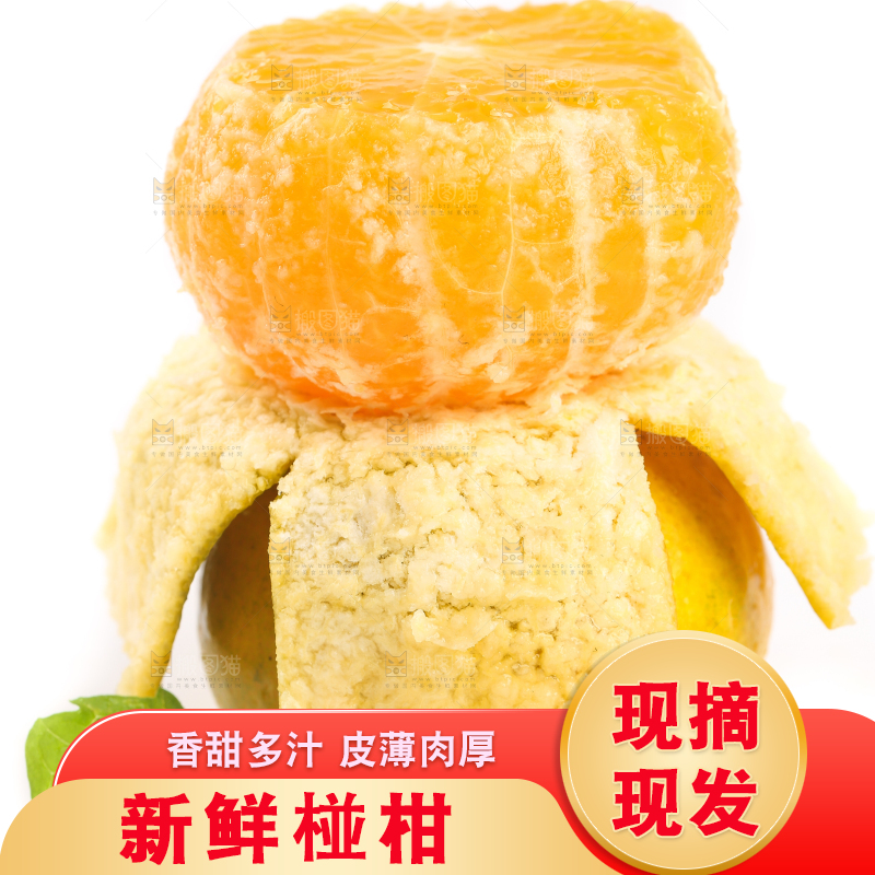 白底上摆放着椪柑橘