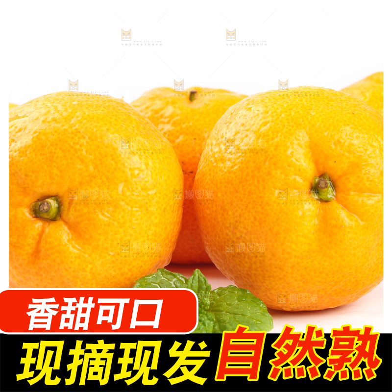 白底上摆放着椪柑橘