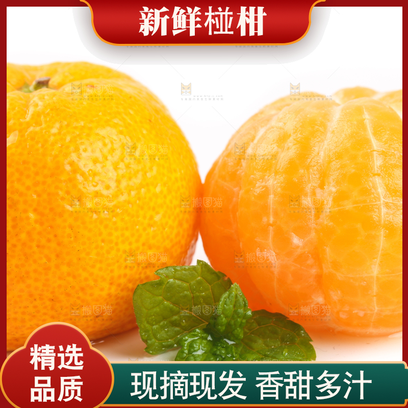 白底上摆放着椪柑橘