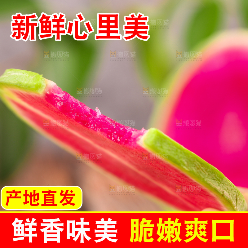 手里拿着红心萝卜