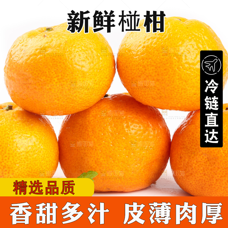 白底上摆放着椪柑橘