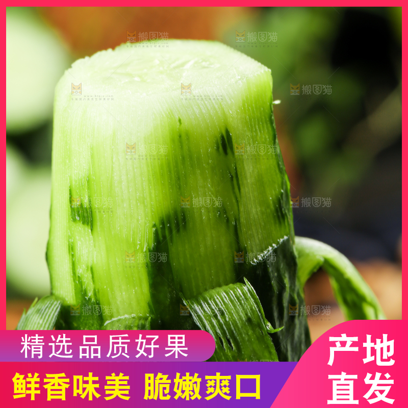 手里拿着黄瓜
