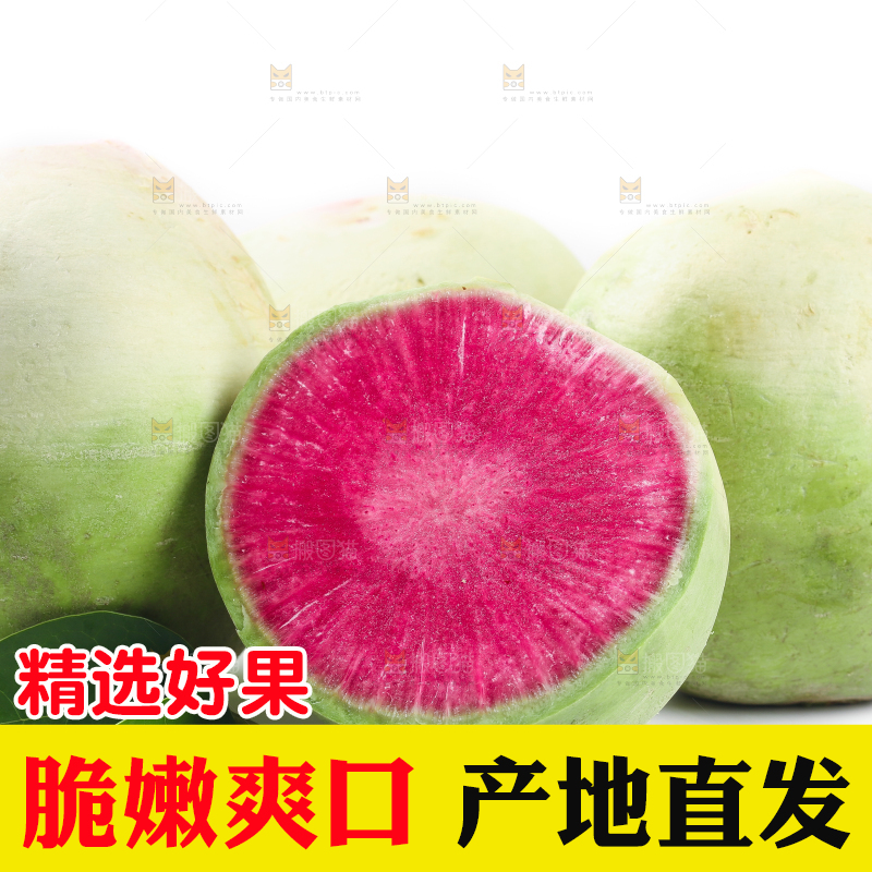 白底上摆放着心里美萝卜