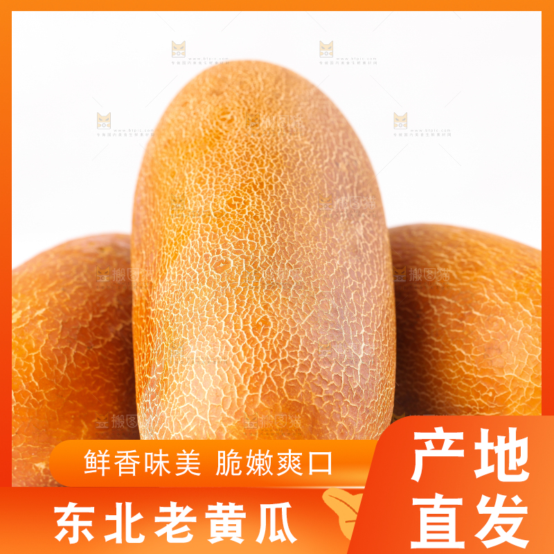 白底上摆放着老黄瓜